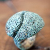 08b piccole creature jewelry formentera  bronze ring